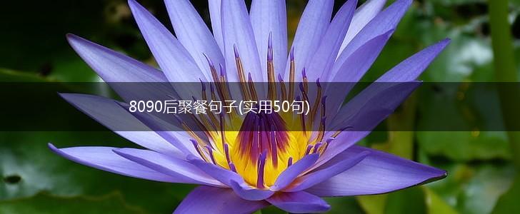 8090后聚餐句子(实用50句),第1张