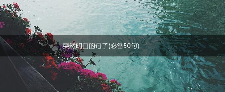 突然明白的句子(必备50句),第1张