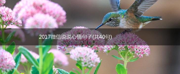 2017微信说说心情句子(共40句),第1张