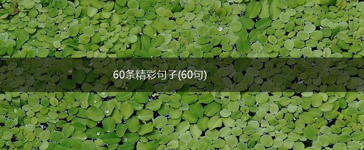 60条精彩句子(60句),第1张