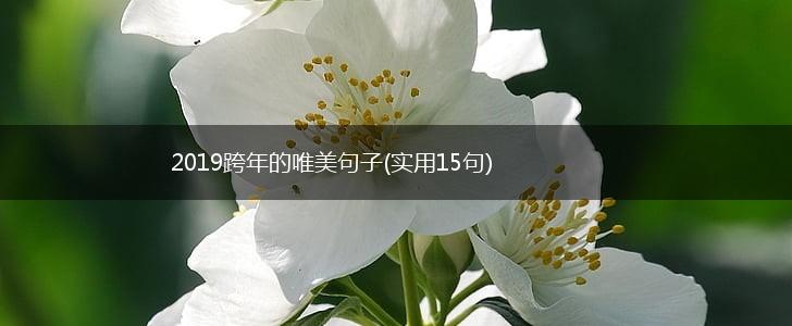 2019跨年的唯美句子(实用15句),第1张