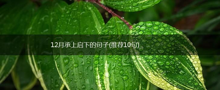 12月承上启下的句子(推荐10句),第1张
