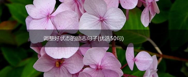 调整好状态的励志句子(优选50句),第1张