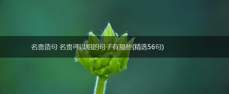 名贵造句 名贵可以组的句子有那些(精选56句),第1张