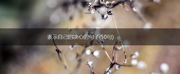 表示自己的决心的句子(50句),第1张
