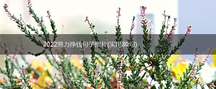 2022努力挣钱句子图片(实用80句),第1张