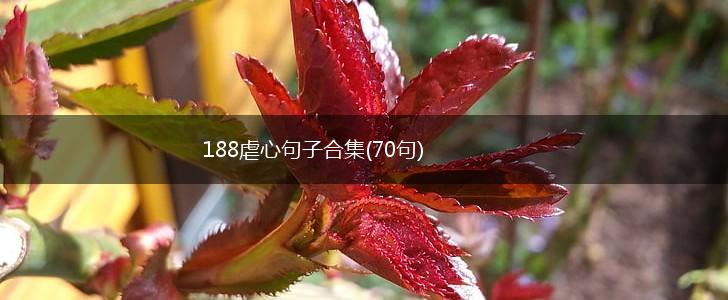 188虐心句子合集(70句),第1张
