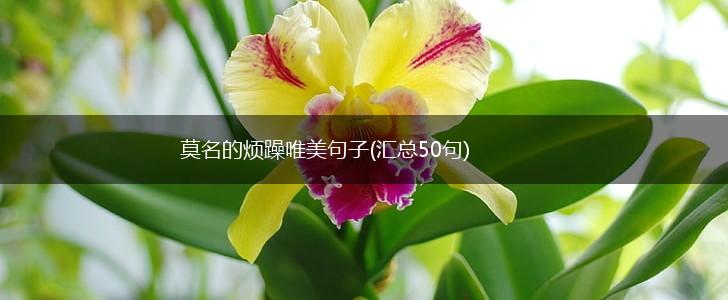 莫名的烦躁唯美句子(汇总50句),第1张