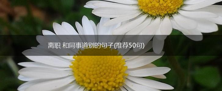 离职 和同事道别的句子(推荐50句),第1张