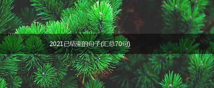 2021已结束的句子(汇总70句),第1张