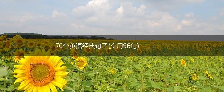 70个英语经典句子(实用96句),第1张