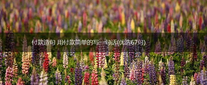 付款造句 用付款简单的写一句话(优选67句),第1张