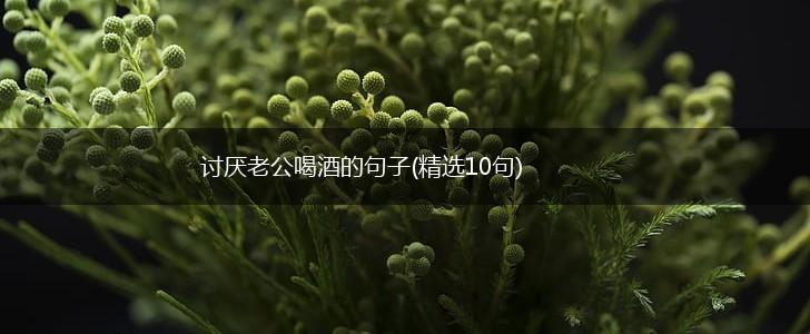 讨厌老公喝酒的句子(精选10句),第1张