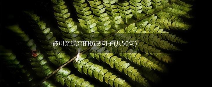 被母亲抛弃的伤感句子(共50句),第1张