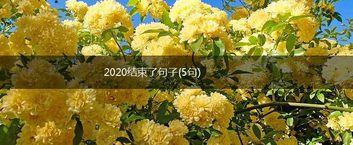 2020结束了句子(5句),第1张