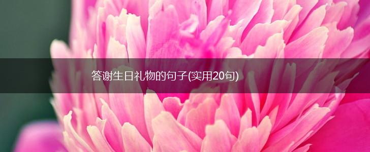 答谢生日礼物的句子(实用20句),第1张