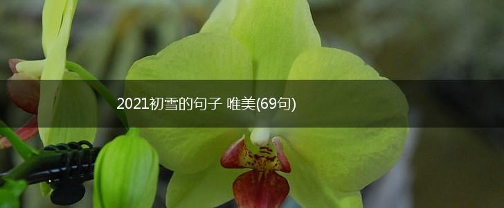 2021初雪的句子 唯美(69句),第1张