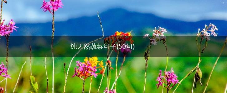 纯天然蔬菜句子(50句),第1张