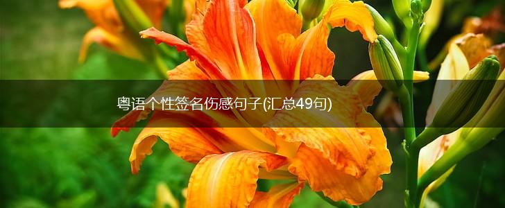 粤语个性签名伤感句子(汇总49句),第1张