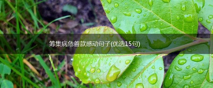 筹集病危善款感动句子(优选15句),第1张