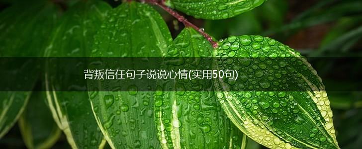 背叛信任句子说说心情(实用50句),第1张