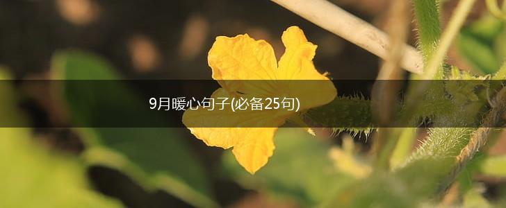 9月暖心句子(必备25句),第1张