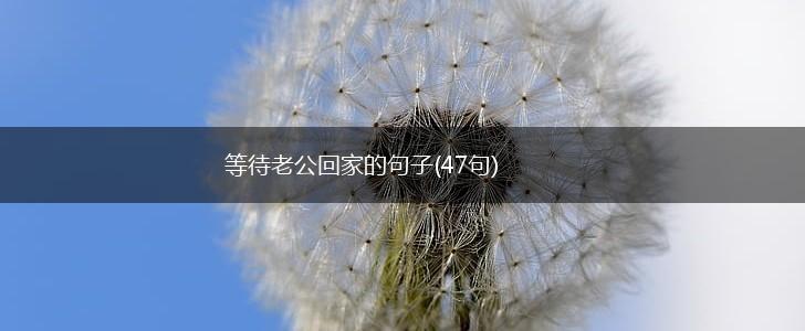等待老公回家的句子(47句),第1张
