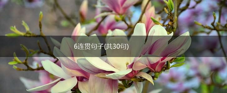 6连贯句子(共30句),第1张
