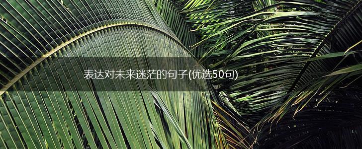 表达对未来迷茫的句子(优选50句),第1张