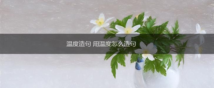 温度造句 用温度怎么造句,第1张
