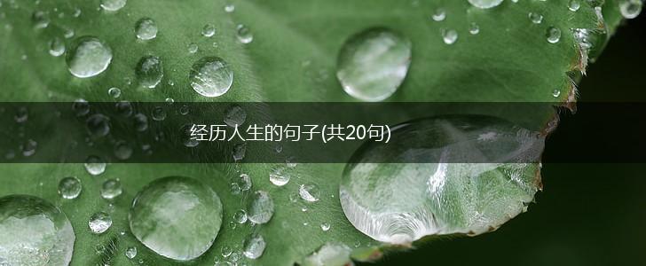 经历人生的句子(共20句),第1张