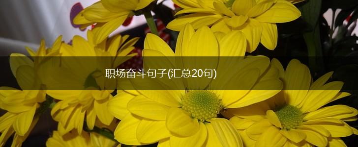职场奋斗句子(汇总20句),第1张