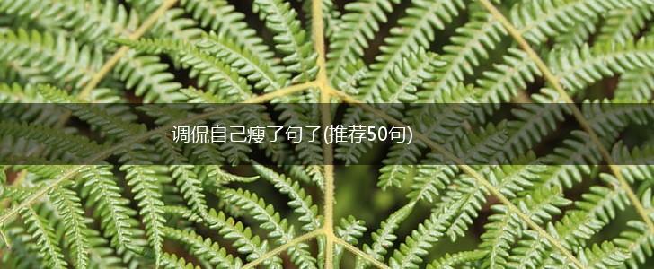 调侃自己瘦了句子(推荐50句),第1张