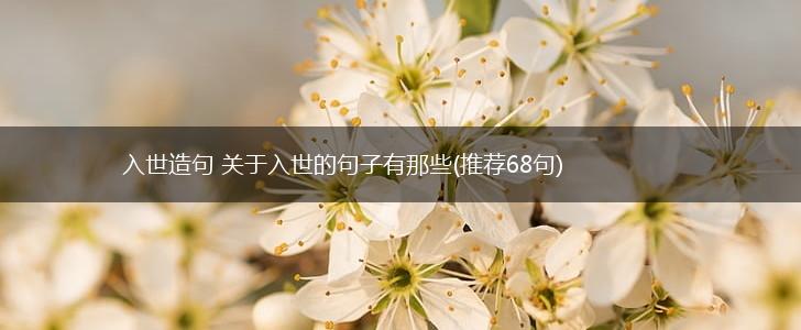 入世造句 关于入世的句子有那些(推荐68句),第1张