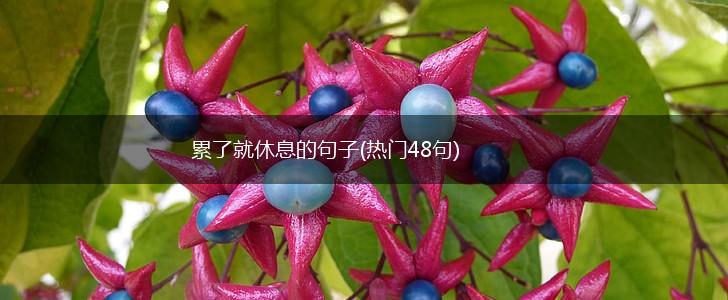 累了就休息的句子(热门48句),第1张