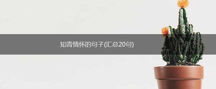 知青情怀的句子(汇总20句),第1张