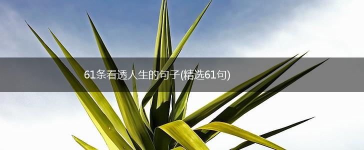 61条看透人生的句子(精选61句),第1张
