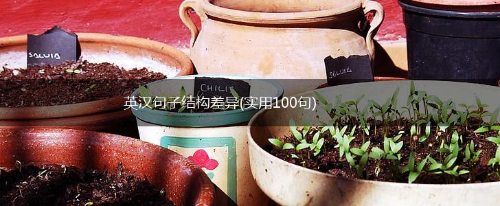 英汉句子结构差异(实用100句),第1张