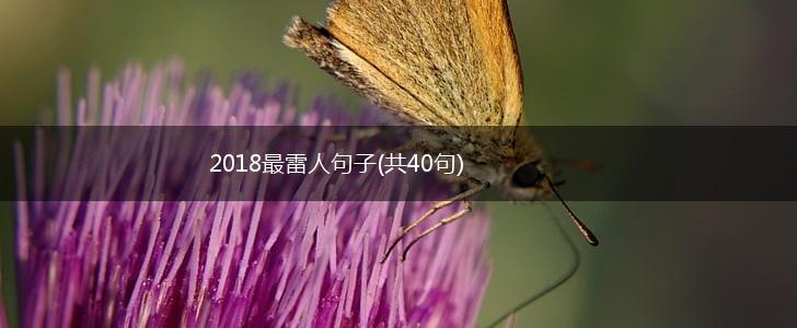2018最雷人句子(共40句),第1张
