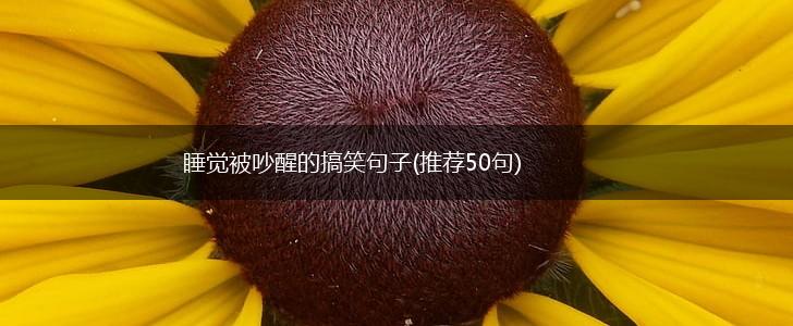 睡觉被吵醒的搞笑句子(推荐50句),第1张
