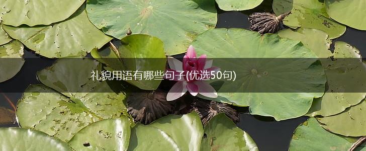 礼貌用语有哪些句子(优选50句),第1张