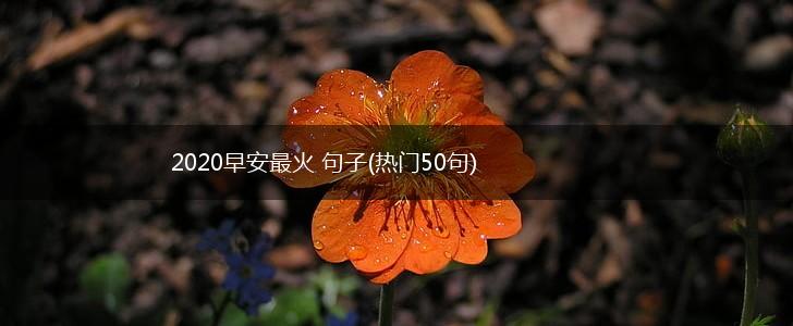 2020早安最火 句子(热门50句),第1张