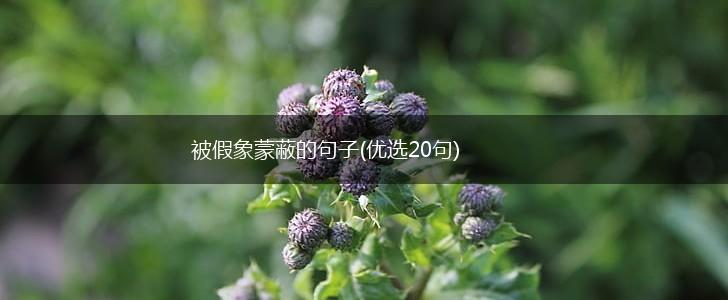 被假象蒙蔽的句子(优选20句),第1张