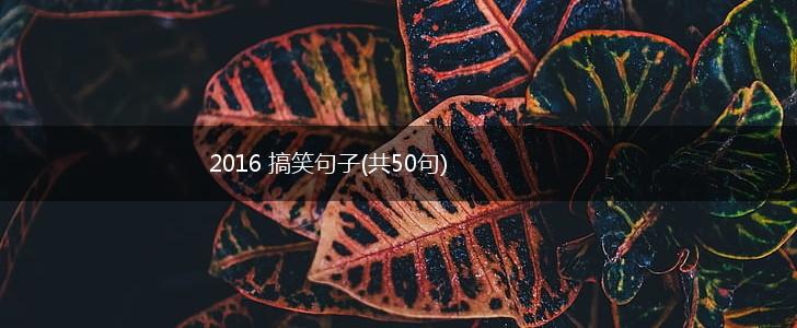 2016 搞笑句子(共50句),第1张