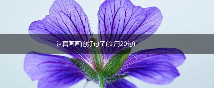 认真画画的好句子(实用20句),第1张