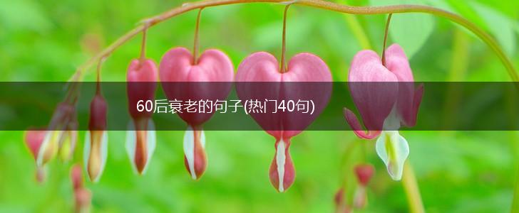 60后衰老的句子(热门40句),第1张