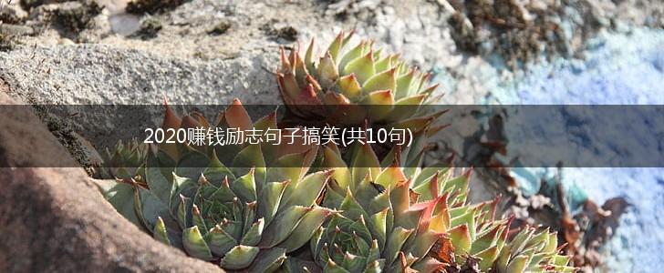 2020赚钱励志句子搞笑(共10句),第1张