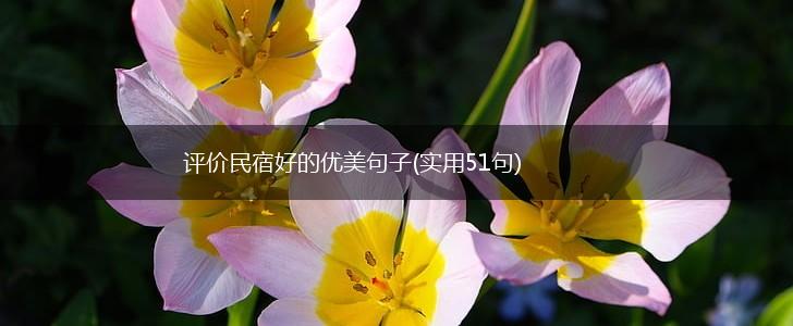 评价民宿好的优美句子(实用51句),第1张