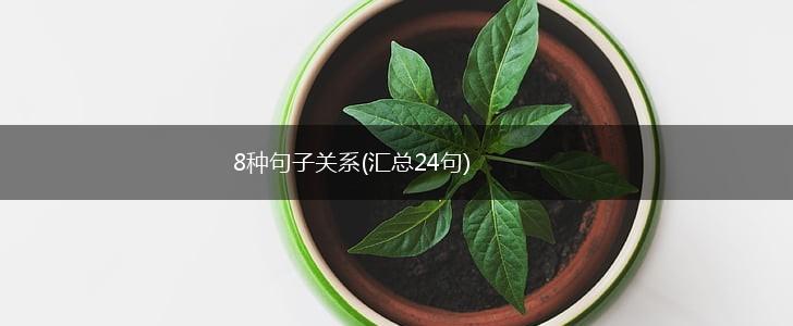 8种句子关系(汇总24句),第1张