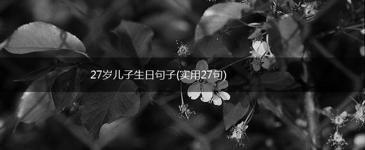 27岁儿子生日句子(实用27句),第1张